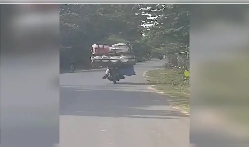 Graban condiciones de maltrato a perros en matadero de Camboya [VIDEO y FOTOS]