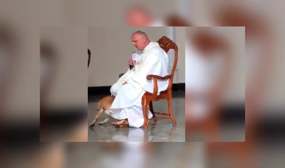Facebook viral: perro irrumpe a párroco durante misa y la reacción de religioso asombra a todos [VIDEO]
