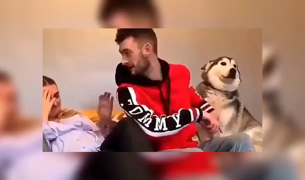 Facebook viral: perro celoso tiene increíble al ver a chico abrazar a su dueña sorprende a usuarios [VIDEO] 