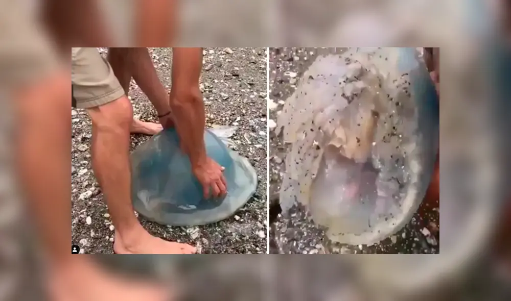 En Facebook se hizo viral el extraño aspecto de una criatura que atrapó un pescador.