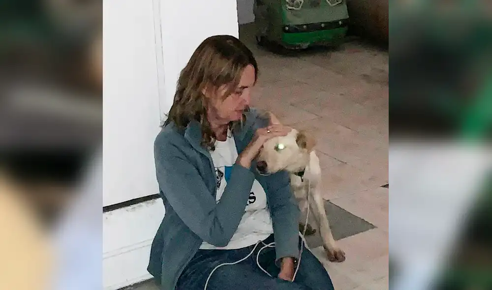 Perrito con la mirada triste tras ser abandonado en la banca de un parque