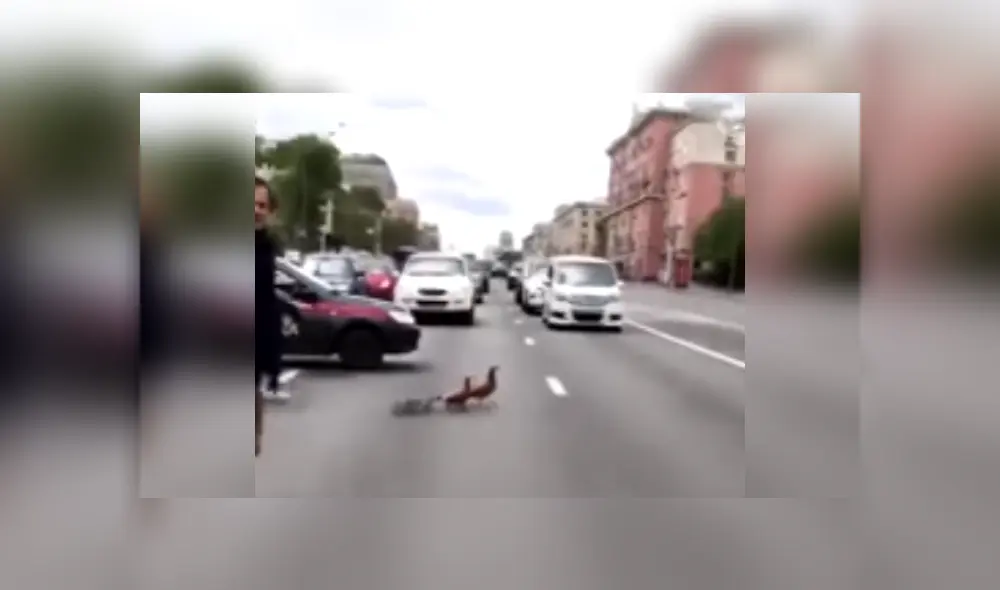 Desliza las imágenes para conocer más de esta escena que es viral en Facebook.