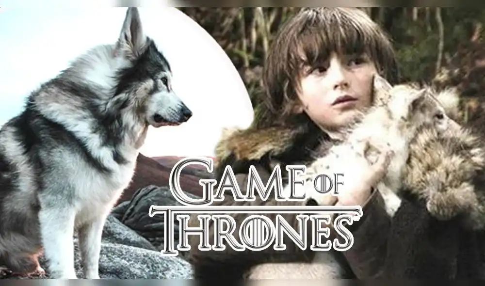 Odín, el perro que fue parte de Game of Thrones falleció a los 10 años - Fuente: difusión