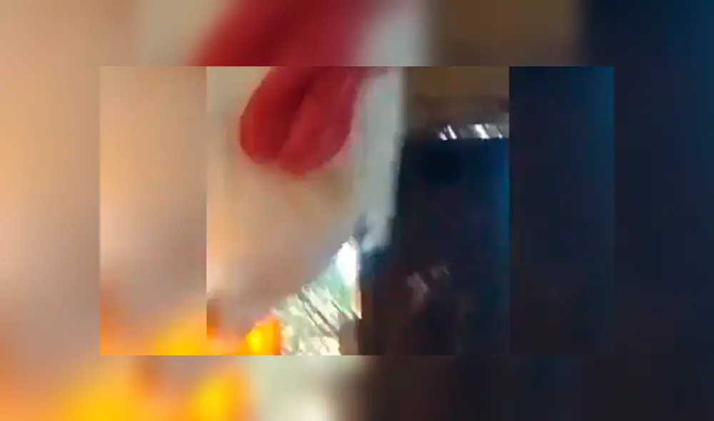 Facebook viral: Gallo se queda dormido y dueño aprovecha para vengarse de cruel forma [VIDEO] 