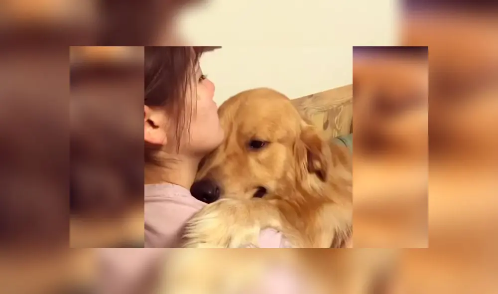 Desliza las imágenes para ver la dramática escena que protagonizó un perro al reencontrarse con su dueña. Foto: Woof Woof Desliza las imágenes para ver la dramática escena que protagonizó un perro al reencontrarse con su dueña. Foto: Woof Woof