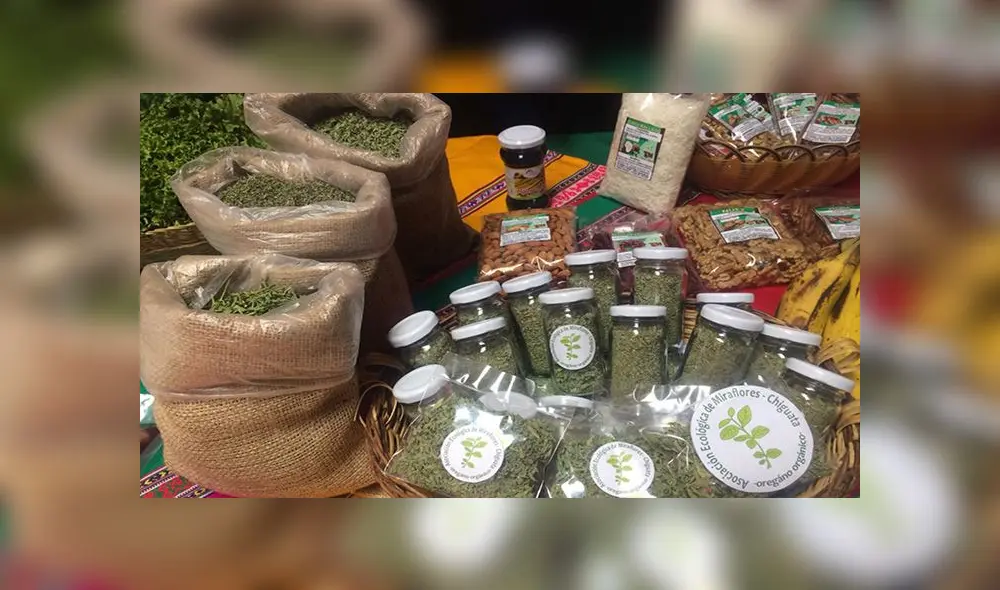 Hierbas aromáticas de Arequipa con gran demanda en Europa