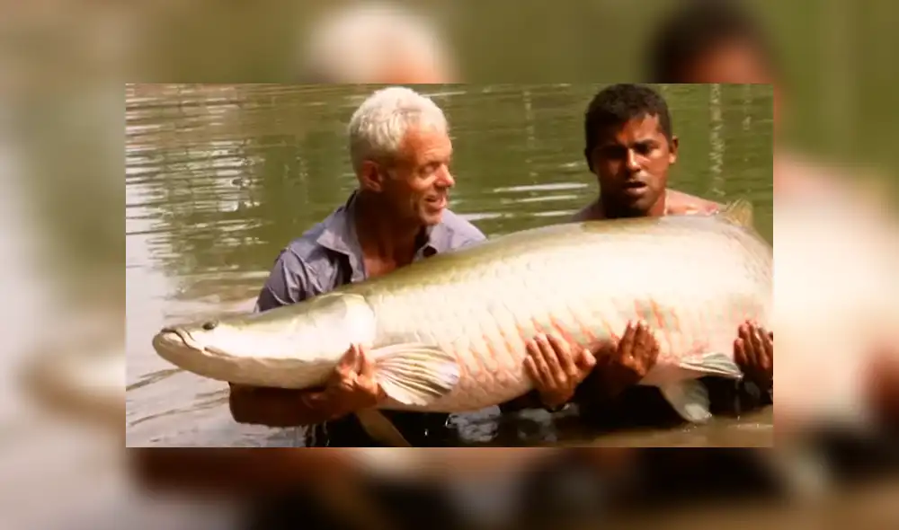YouTube viral: monstruosa criatura atrapada en río aterra a pescadores [VIDEO]