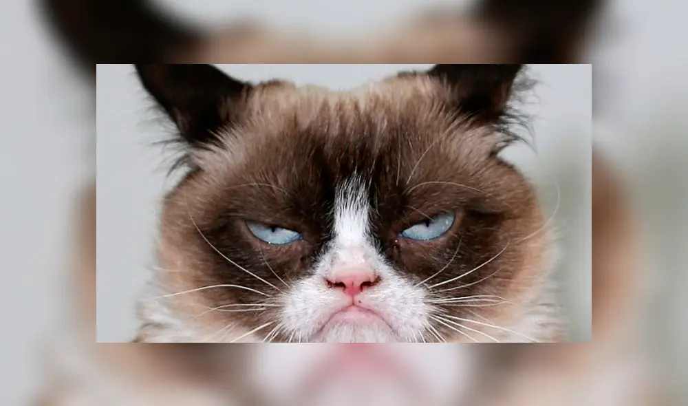 El meme ‘me dijiste que tenías’ revive otras divertidas imágenes en las redes sociales El meme ‘me dijiste que tenías’ revive otras divertidas imágenes en las redes sociales