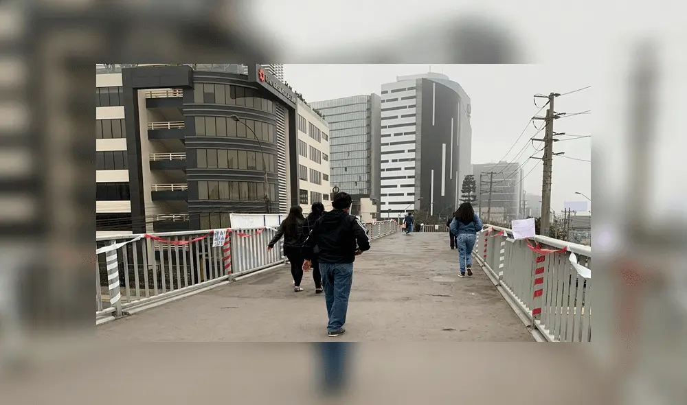 El colectivo se encarga de la limpieza periódica del puente peatonal. Foto: porlawevaes / Twitter.