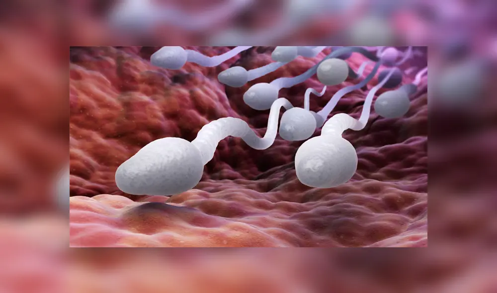 Investigadores británicos y méxicamos usaron microscopío 3D para ver los verdaderos movimientos de las células masculinas. Foto: iStock