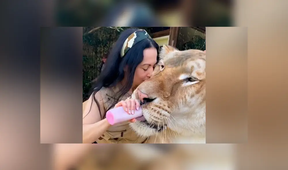 Desliza hacia la izquierda para ver la tierna escena que se volvió viral en YouTube. Desliza hacia la izquierda para ver la tierna escena que se volvió viral en YouTube.