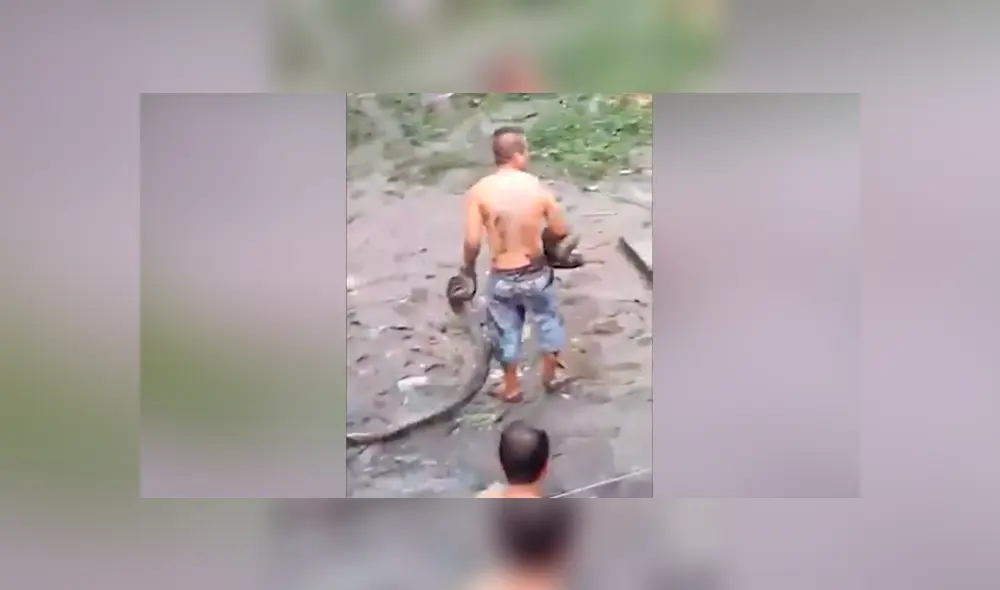 Desliza hacia la izquierda para ver el momento en que el hombre interfiere en la batalla de dos enormes serpientes en Filipinas. El video es viral en YouTube.