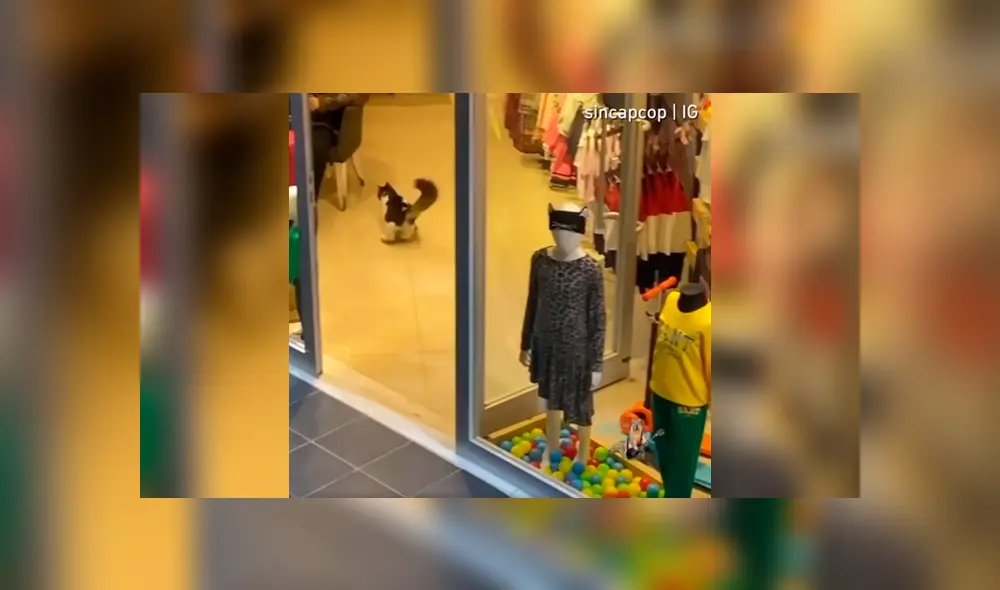 Desliza a la izquierda para conocer el nuevo viral de YouTube. Foto: Captura.