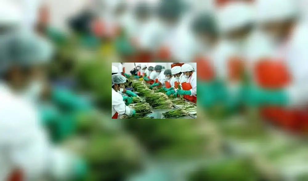 Exportaciones agrarias crecieron 6% en el primer trimestre del 2019