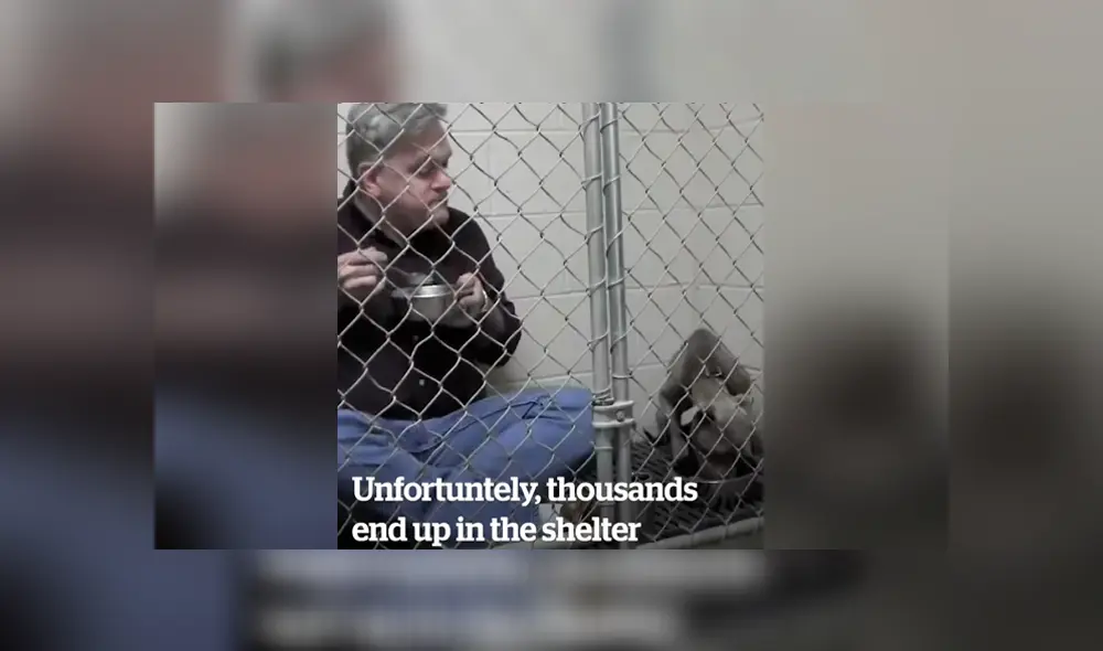 Facebook viral: veterinario aplica ‘truco’ para ganarse confianza de perro callejero y así hacerlo comer Facebook viral: veterinario aplica ‘truco’ para ganarse confianza de perro callejero y así hacerlo comer