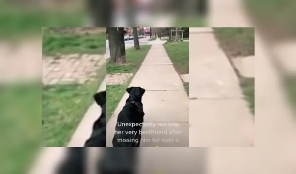 Desliza hacia la izquierda para ver más del video viral.