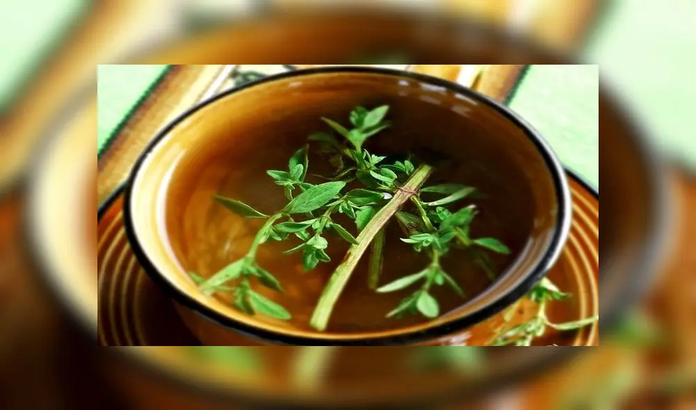 Científico de San Marcos demuestra que muña es eficaz para curar la gastritis