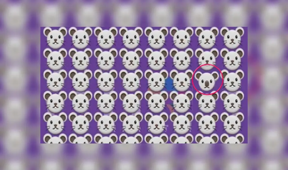 Desliza las imágenes para ver la ubicación exacta del travieso koala oculto entre ratones. Foto: Facebook Desliza las imágenes para ver la ubicación exacta del travieso koala oculto entre ratones. Foto: Facebook