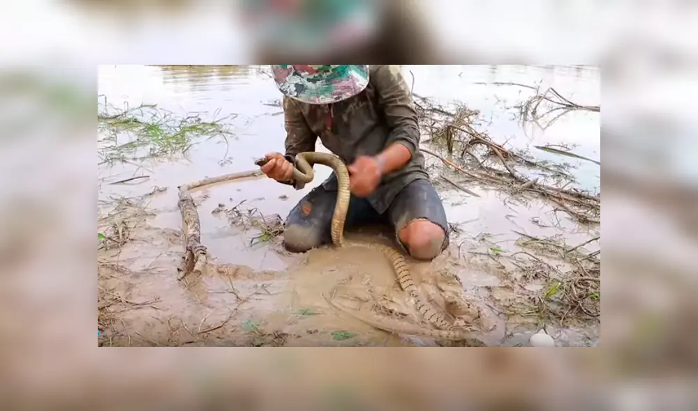 Desliza hacia la izquierda para ver el experimento que se volvió viral en Facebook.