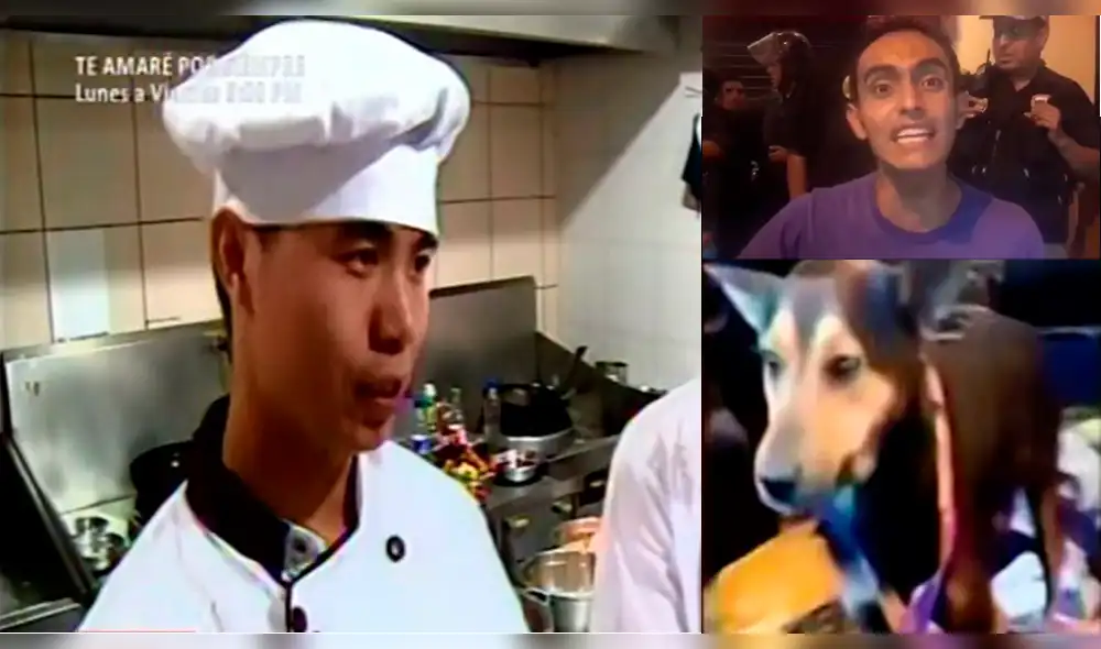 Animalista responde en Facebook tras críticas por falsa denuncia contra chifa