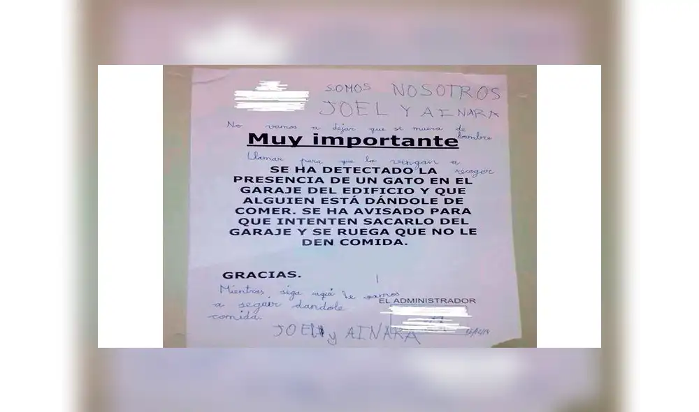 Vecinos piden dejar de alimentar a un gato callejero, pero la respuesta de unos niños causa furor en redes [FOTOS]