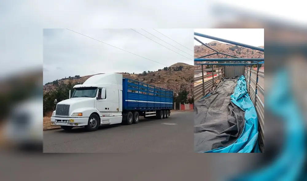 Trailer fue intervenido en la avenida Circunvalación en Puno Trailer fue intervenido en la avenida Circunvalación en Puno