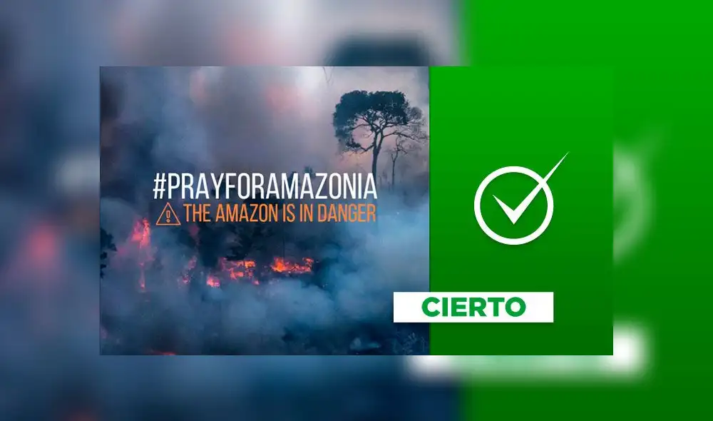 Imagen referencial sobre el HT #PrayforAmazonia en Twitter. Imagen referencial sobre el HT #PrayforAmazonia en Twitter.