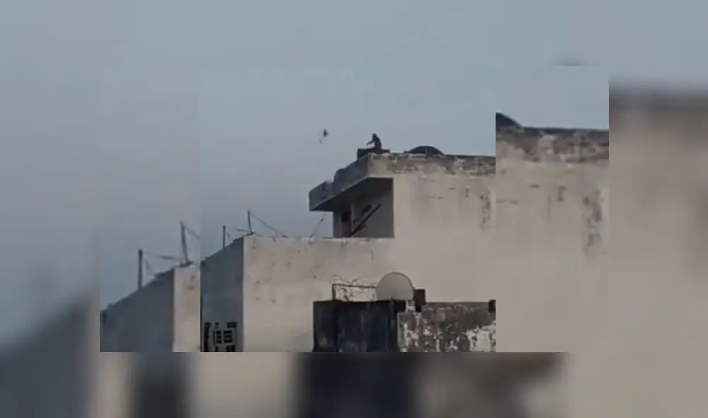 Desliza hacia la izquierda para ver más del video viral.