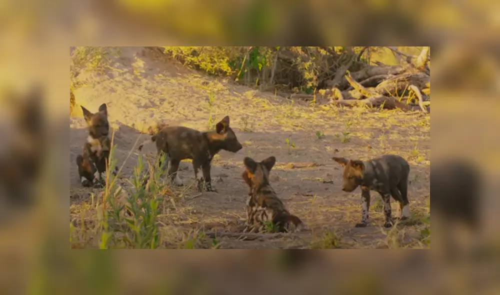 Desliza hacia la izquierda para ver las imágenes del viral de YouTube.