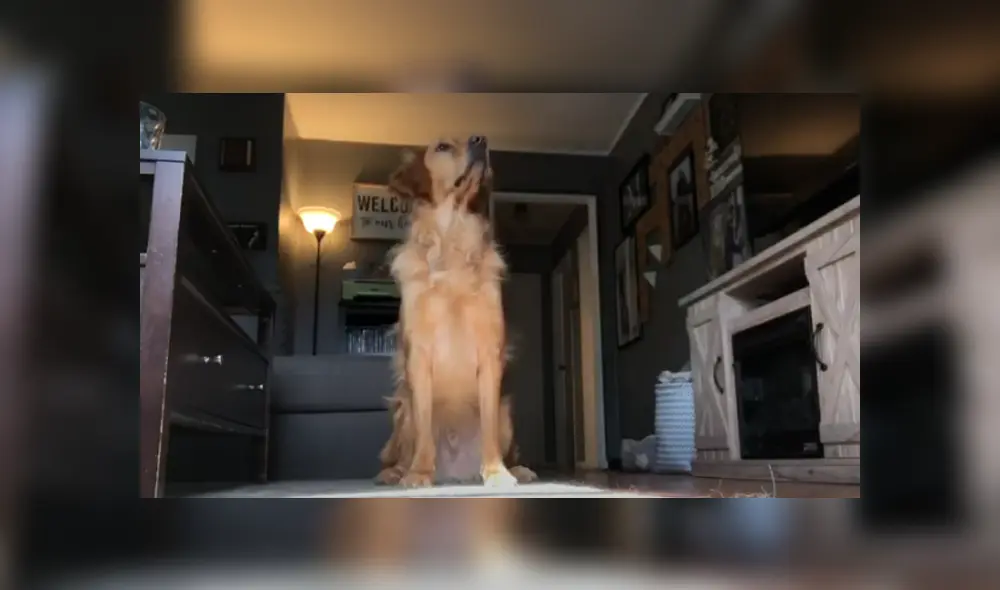 Desliza hacia la izquierda para ver las imágenes del viral de YouTube. Desliza hacia la izquierda para ver las imágenes del viral de YouTube.