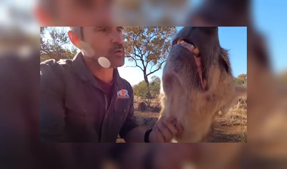 Desliza hacia la izquierda para ver las imágenes del viral de YouTube. Foto: Captura.