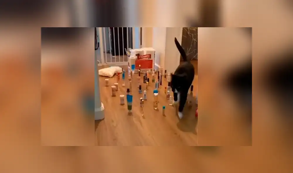 Desliza las imágenes hacia la izquierda para conocer al ganador de una divertida competencia que inventó un joven. Desliza las imágenes hacia la izquierda para conocer al ganador de una divertida competencia que inventó un joven.