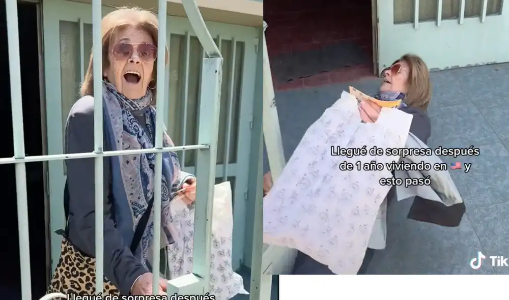 Este video está cerca de alcanzar el medio millón de 'likes'. Foto: composición LR / TikTok / @agustina.usa