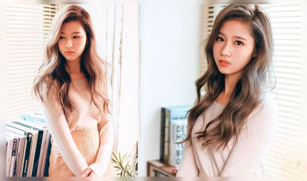 TWICE: Sana es una cantante japonesa, conocida por sus seguidores por los apelativos Squirrel, Sanake, Sanaconda y Hamster.