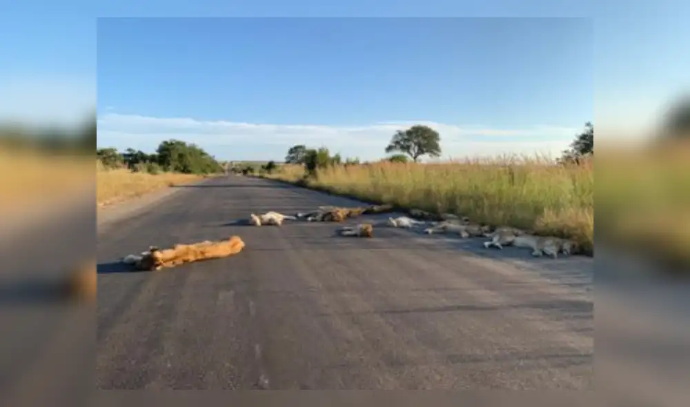 Desliza hacia la izquierda para ver más del  viral