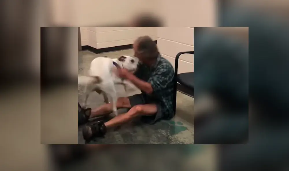 Hombre sin hogar se reunió con su mascota después de varios días sin verlo y la reacción del can se hizo viral en Facebook
