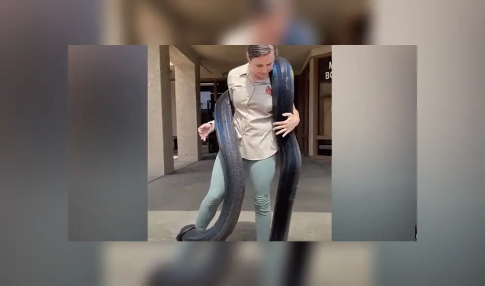 Desliza hacia la izquierda para ver las imágenes del viral de Facebook. Foto: Captura. Desliza hacia la izquierda para ver las imágenes del viral de Facebook. Foto: Captura.