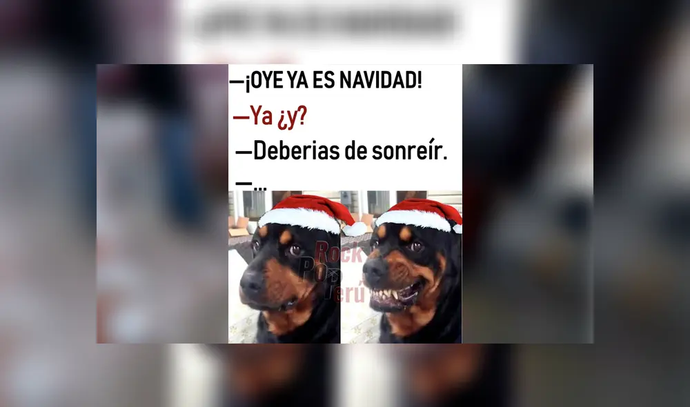 Facebook viral: mira los mejores memes por Navidad que te harán 'morir' de la risa [FOTOS]