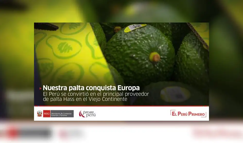 Palta Hass de Perú conquista Europa, según PROMPERÚ. Foto: Twitter PROMPERÚ.