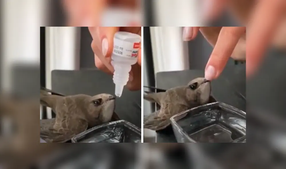 Desliza hacia la izquierda para ver las imágenes del viral de Facebook. Foto: Upsocl. Desliza hacia la izquierda para ver las imágenes del viral de Facebook. Foto: Upsocl.