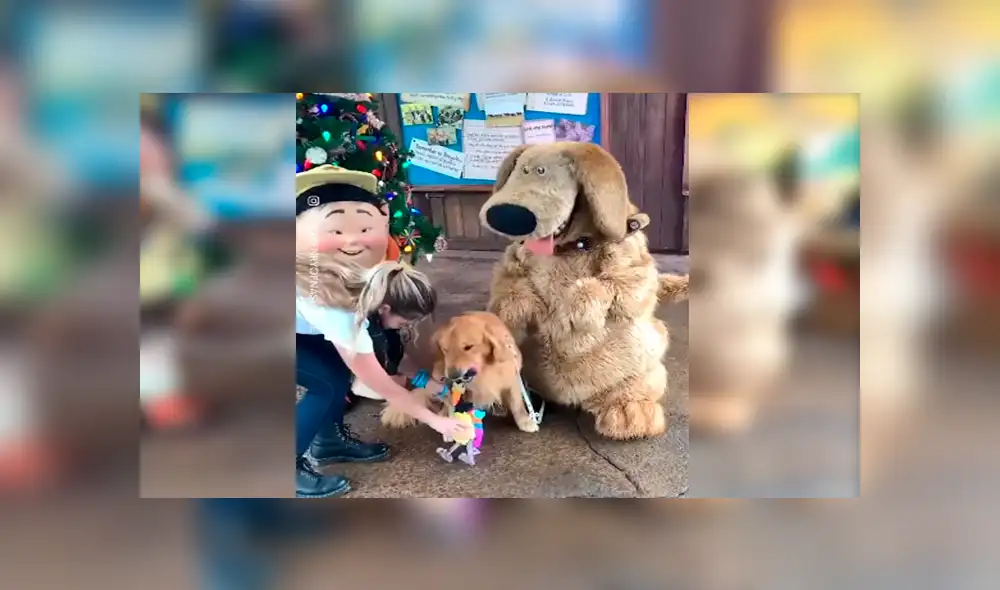 En Facebook, un perro acudió con su dueña a un parque de diversiones en Disney y tuvo una linda sorpresa. En Facebook, un perro acudió con su dueña a un parque de diversiones en Disney y tuvo una linda sorpresa.