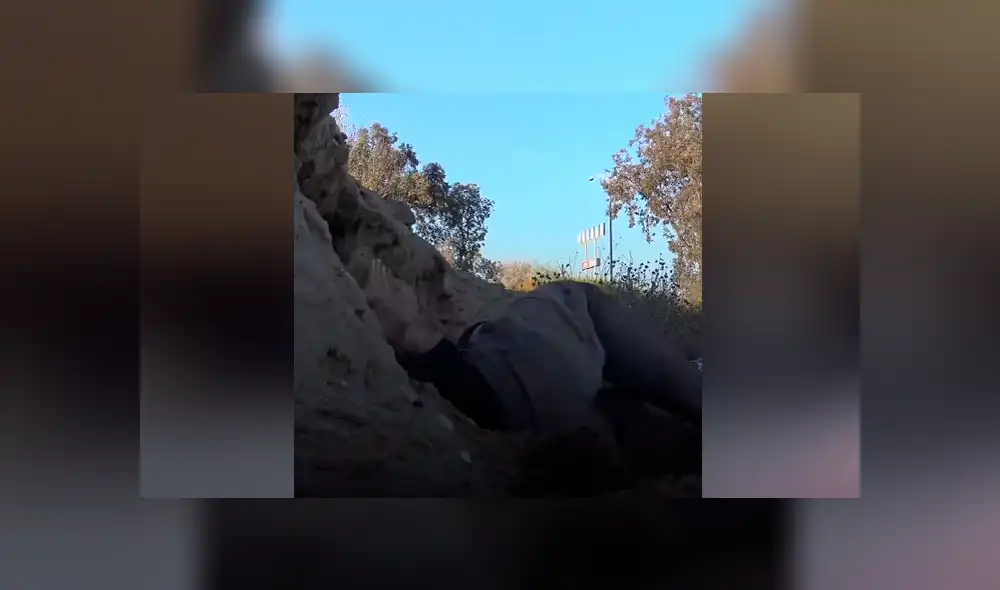Vía Facebook. Los cachorros fueron encontrados en una cueva y llevados a un refugio de animales. Vía Facebook. Los cachorros fueron encontrados en una cueva y llevados a un refugio de animales.