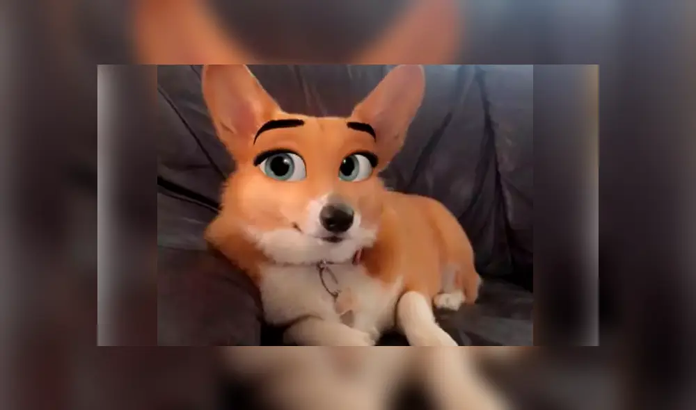 Convierte tu perro en un personaje de Disney gracias a Snapchat. Foto: Ladbible.
