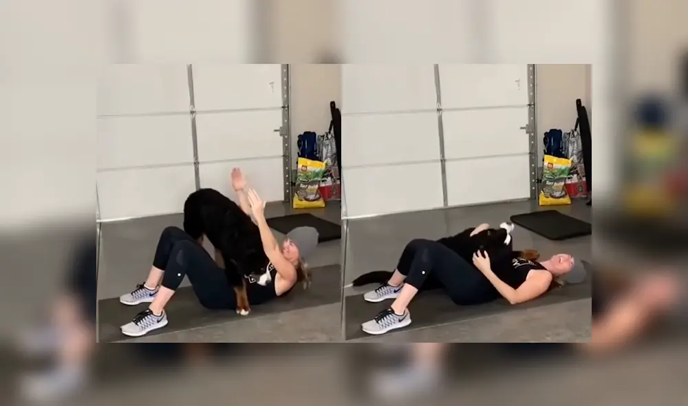 Desliza a la izquierda para ver la divertida escena que protagonizó el perro junto a su dueña. (Foto:captura)