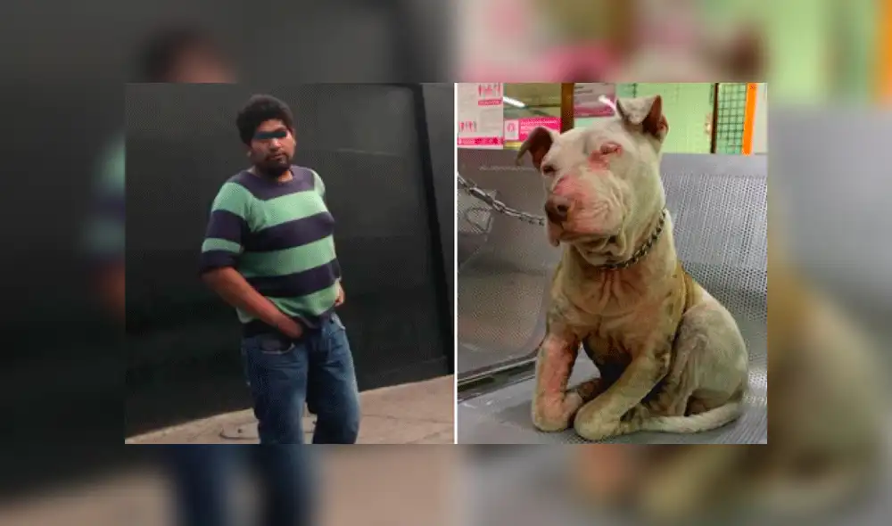 Fidel Alcántara, agresor del can.