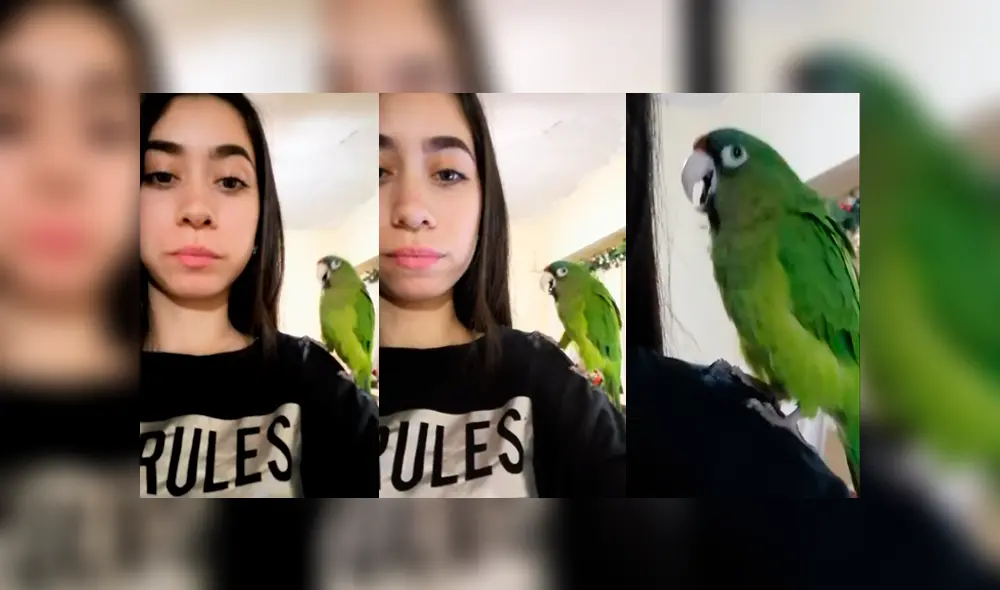 Desliza para ver los detalles del video viral publicado en YouTube. Foto: Captura.