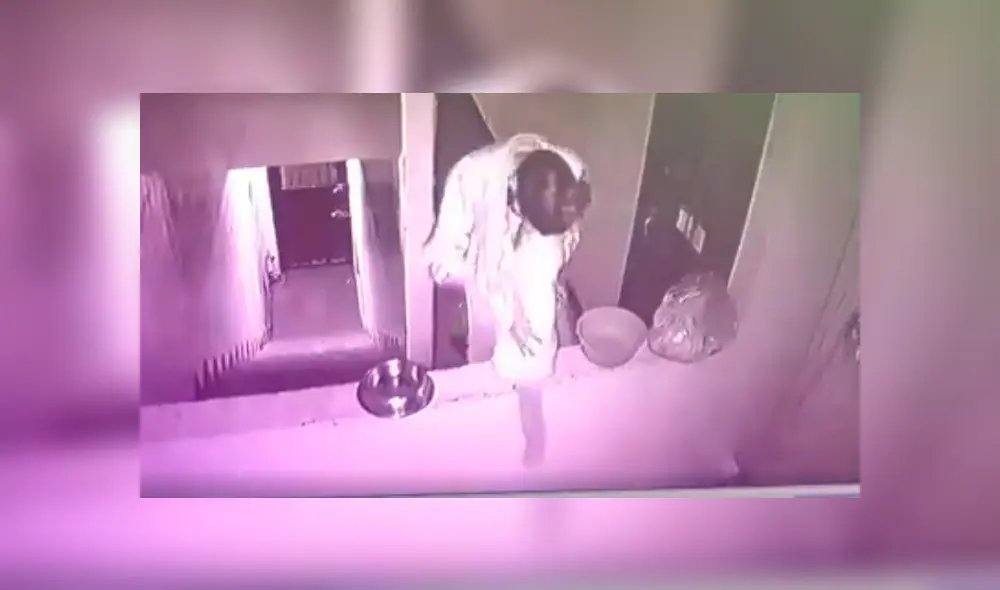 Desliza a la izquierda para ver más sobre el nuevo viral de YouTube. Foto: Captura.