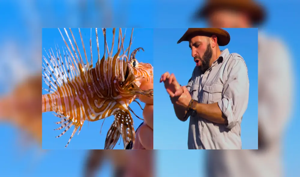 Un video viral muestra al famoso 'Coyote' Peterson siendo picado por un venenoso pez león. Un video viral muestra al famoso 'Coyote' Peterson siendo picado por un venenoso pez león.