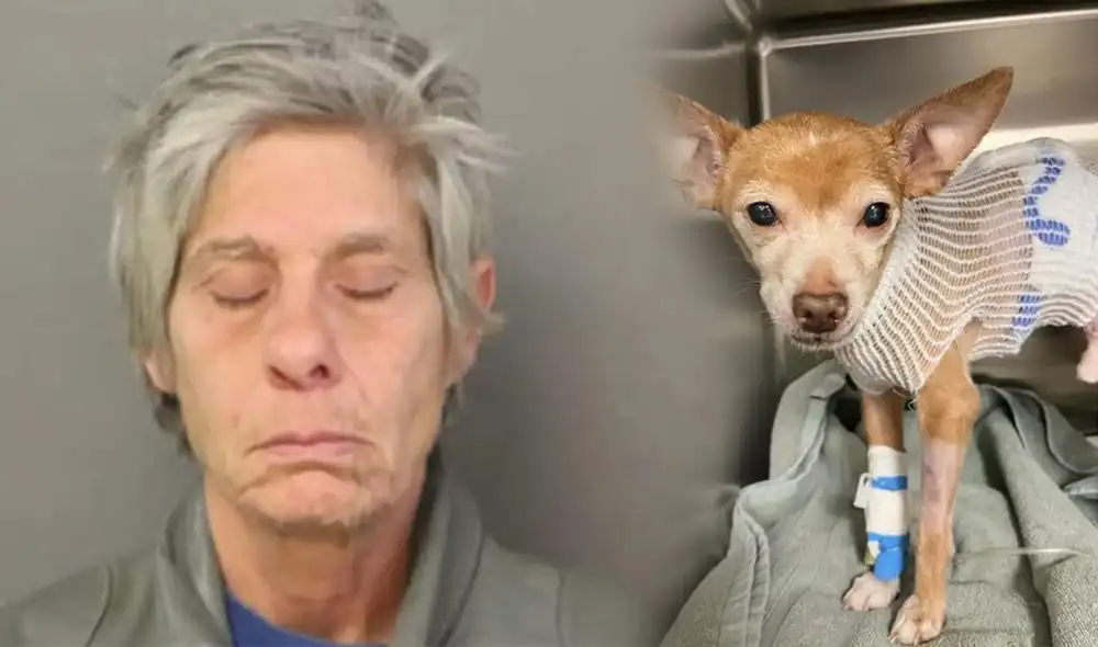 La mujer de 61 años fue detenida por la policía de Chicago. Foto: composición LR/ Chicago Police Department/Garrido Stray Rescue Foundation La mujer de 61 años fue detenida por la policía de Chicago. Foto: composición LR/ Chicago Police Department/Garrido Stray Rescue Foundation
