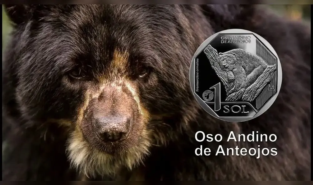 BCR: Un repaso de las monedas de la colección “Fauna Silvestre Amenazada del Perú” BCR: Un repaso de las monedas de la colección “Fauna Silvestre Amenazada del Perú”